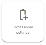 professional%20setting